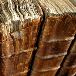 Threefold Law : The Rede